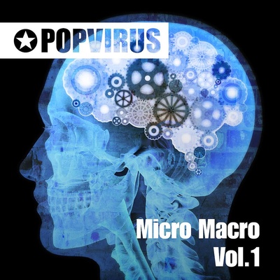 Micro Macro Vol.1