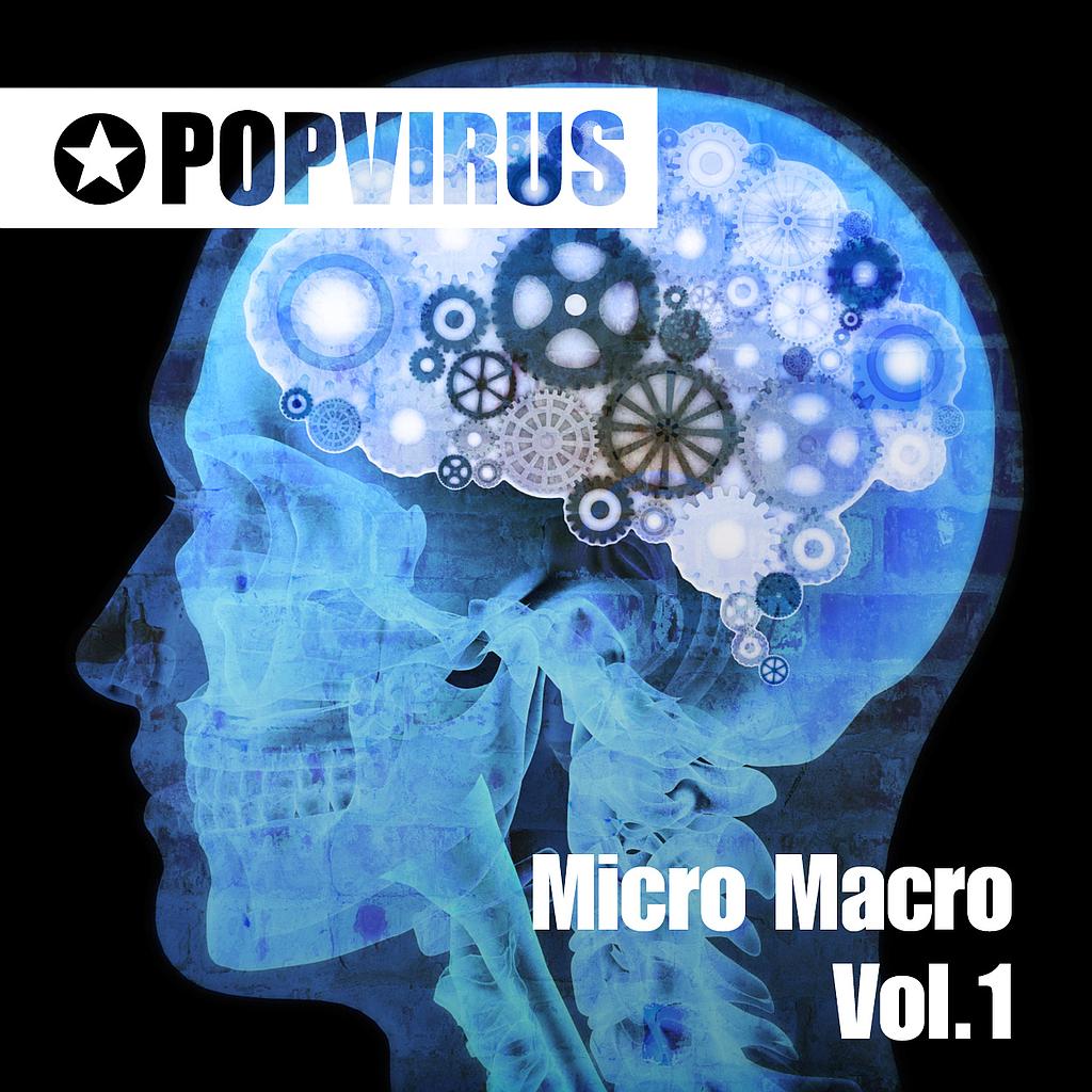 Micro Macro Vol.1