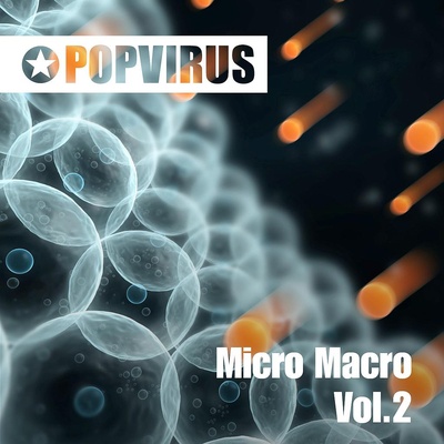 Micro Macro Vol.2