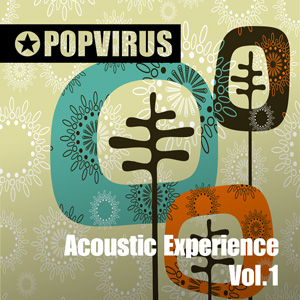 Acoustic Experience Vol.1