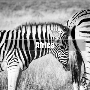 ★ Finest Of Africa