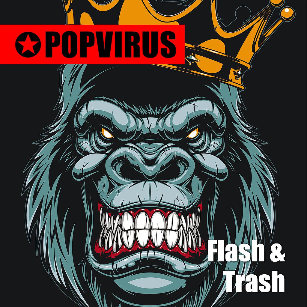 Porch Pirate (Minimal-Version)