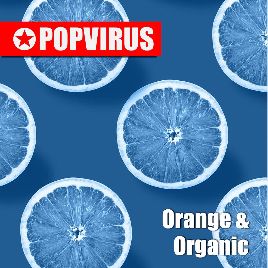 Picnic Day Delight (Chorus-Version)